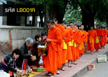 ทัวร์หลวงพระบาง เชียงคาน 8100 บาท รับหน้าด่านหนองคาย รถบัส