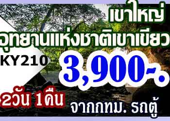 ทัวร์เขาใหญ่ อุทยานแห่งชาติ เขาเขียว 3,900 บาท จากกทม.รถตู้