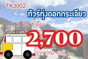 ทัวร์ทุ่งดอกกระเจียว เขาค้อ 2วัน 1 คืน 2700 บาท จาก กทม. ทัว