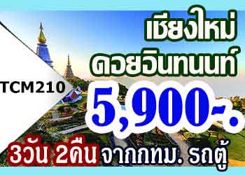 ทัวร์เชียงใหม่ ดอยอินทนนท์ ปาย Coffee in love 5,900 บาทรถตู้