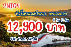 ทัวร์สิบสองปันนา ไทลื้อ รถไฟความเร็วสูง 12,900 บาท 